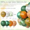 Jungle Party Decorations, Jungle Safari Balloons, 68 Pack Animal Balloon Set for Boys Girls Tropical Safari Baby Shower Decor, Tropical Wild One Birthday Party Supplies, 12 Inch